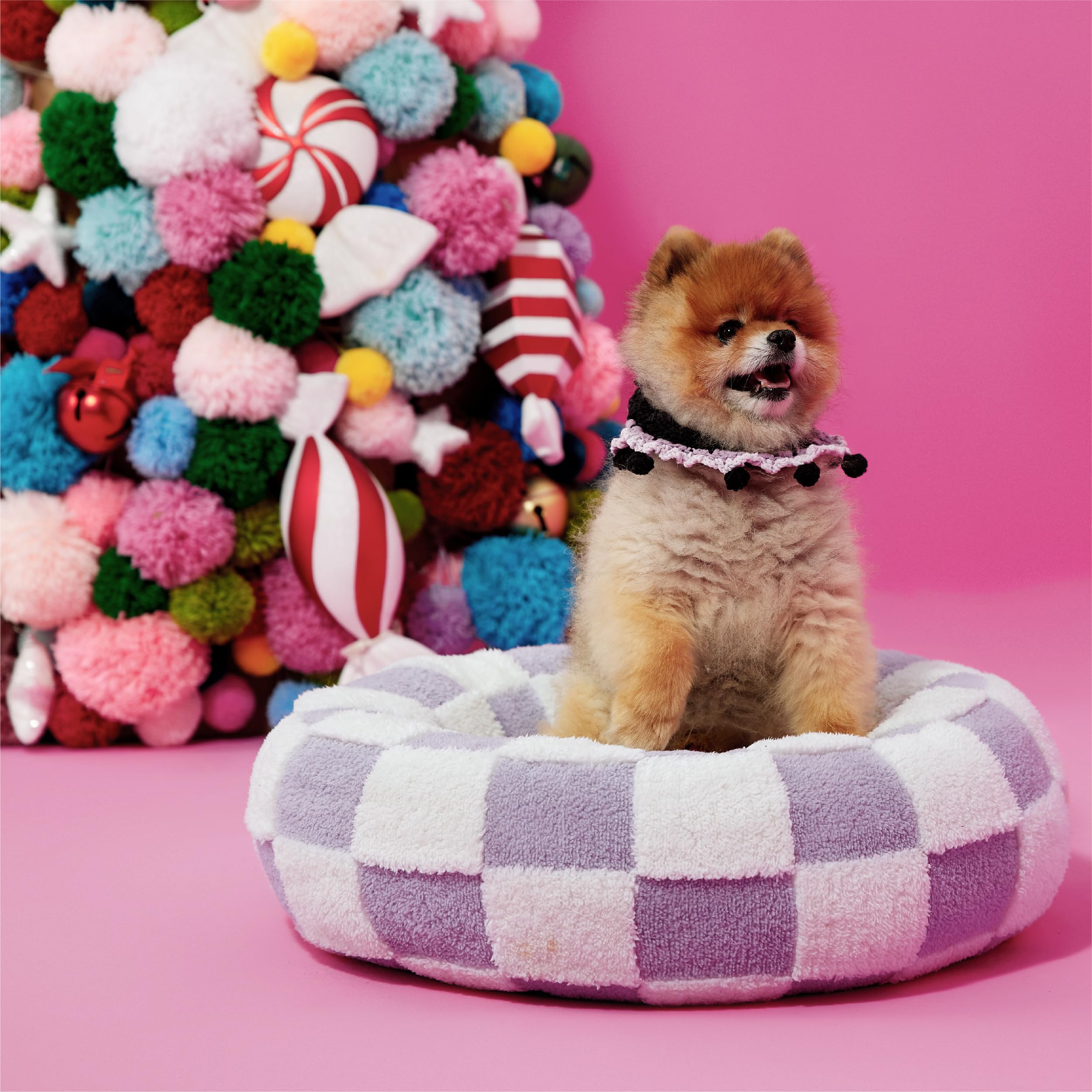 LE SURE purple donut bed in room decor demonstrates stylish pet resting spot