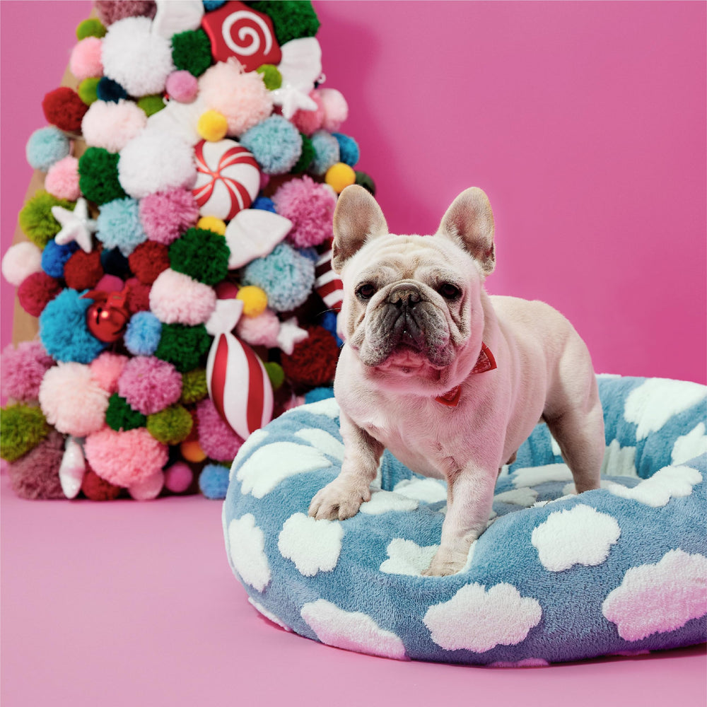 LE SURE gift-ready bed for dogs or cats, comforting resting spot