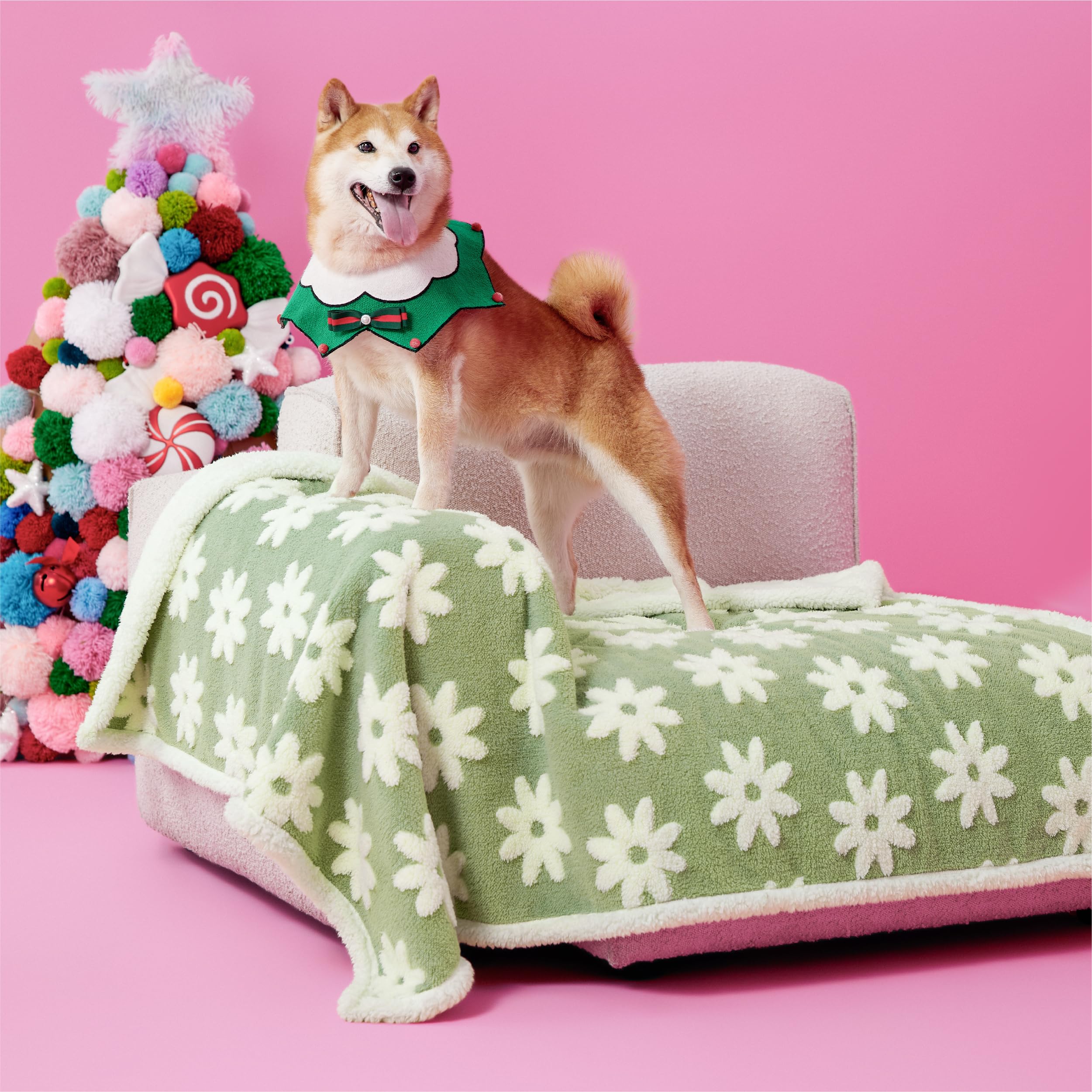LE SURE waterproof blanket for large dogs with jacquard shag protects furniture.