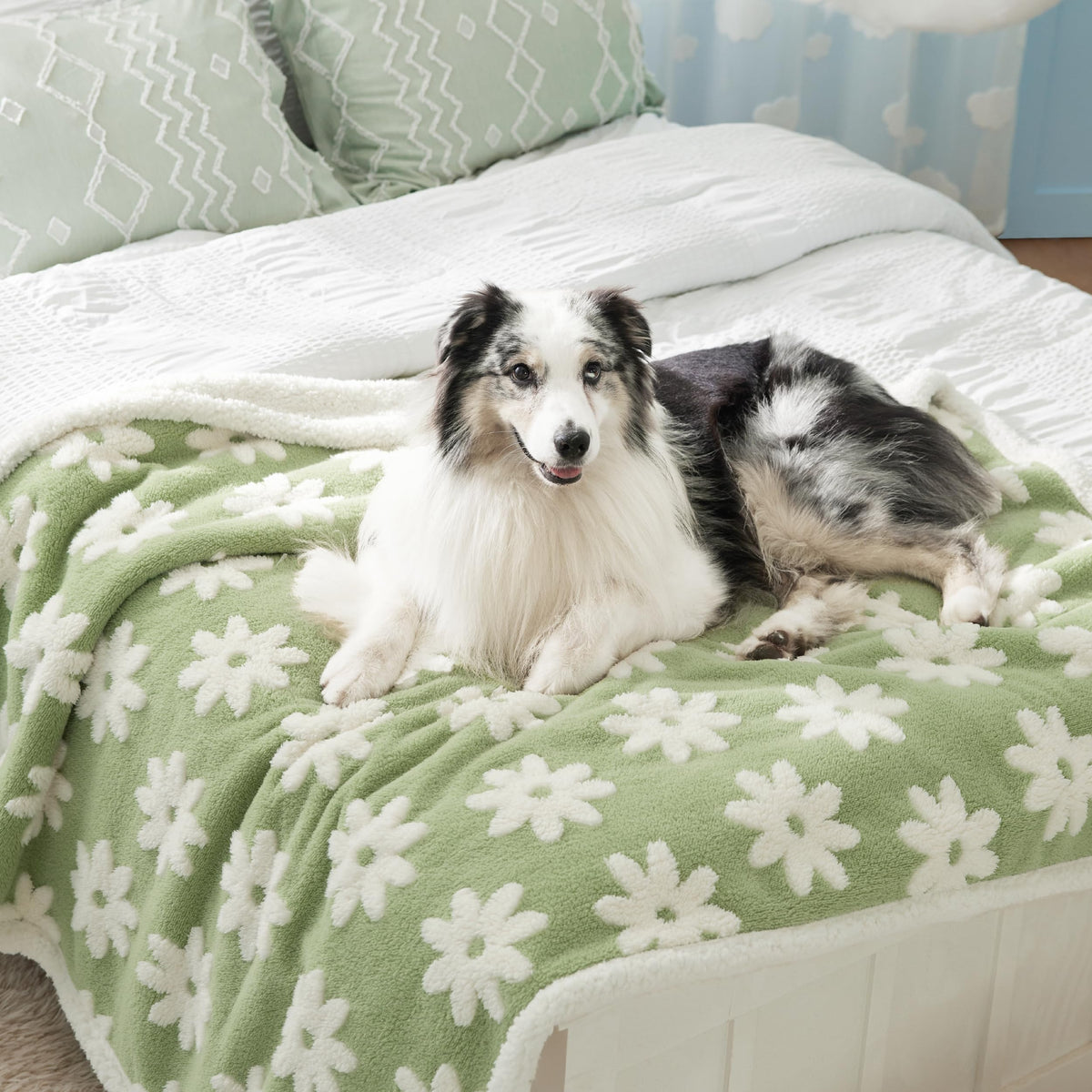 LE SURE waterproof dog blanket on couch protecting furniture from spills.
