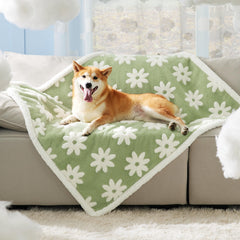 LE SURE blanket with sherpa fleece offers cozy warmth for big pets.