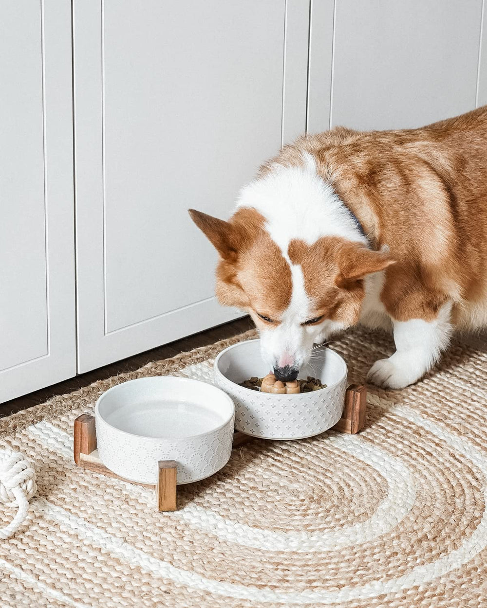 LE TAUCI anti-slip, weighted base keeps bowls steady during meals.