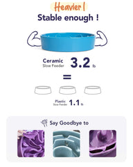 LE TAUCI ceramic bowl showing maze pattern to slow eating.