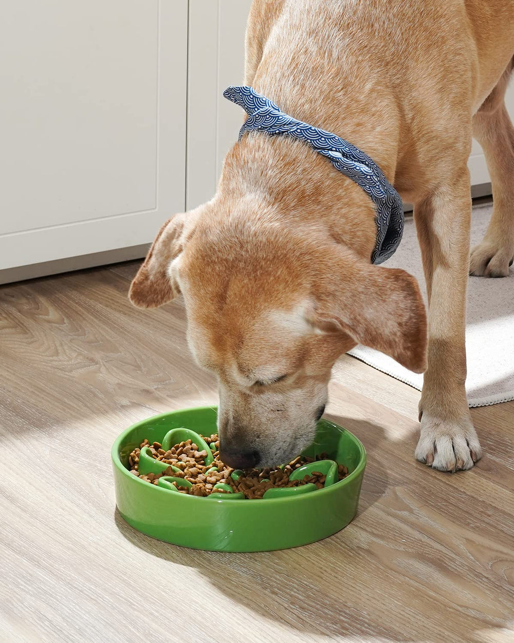 LE TAUCI ceramic dog bowl with non-slip base keeping bowls steady.