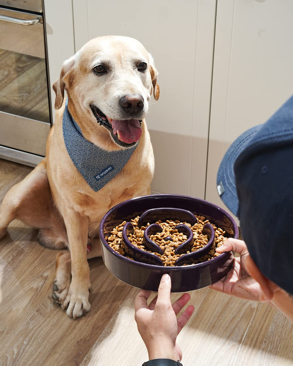 LE TAUCI ceramic dog bowl non-slip base keeps mealtime tidy.