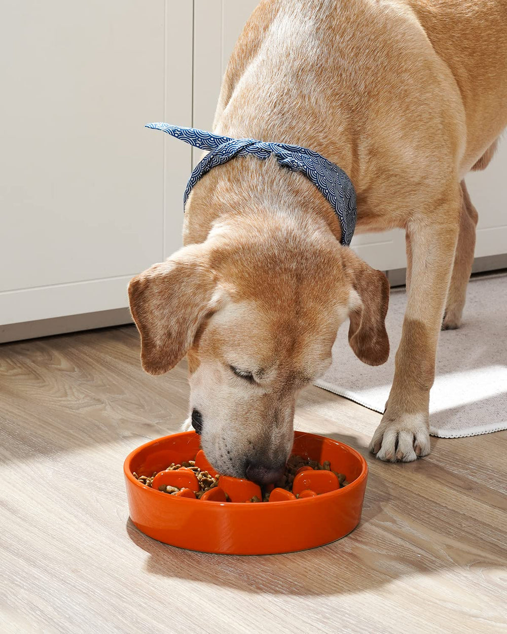 LE TAUCI ceramic dog bowl with smooth surface for easy cleaning.