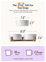 LE TAUCI 7-inch wide-mouth bowls ease feeding for dogs and cats