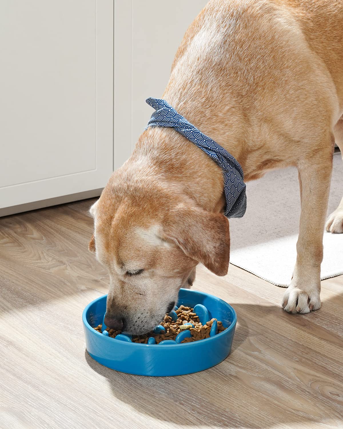LE TAUCI ceramic dog bowl with 3-cup capacity for balanced portions