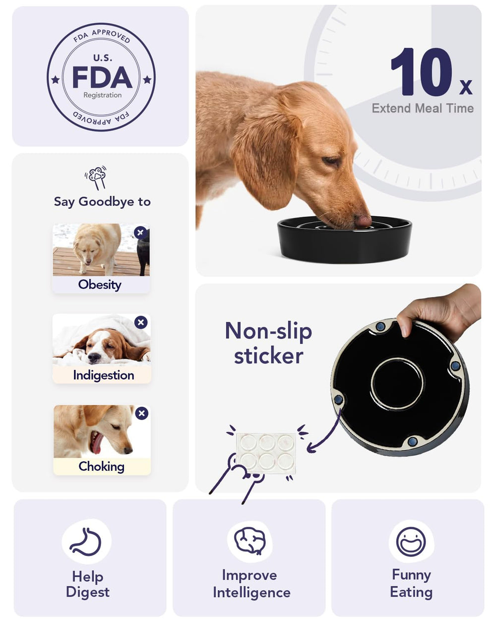 LE TAUCI ceramic food dish for small dogs keeps feeding tidy and stable.