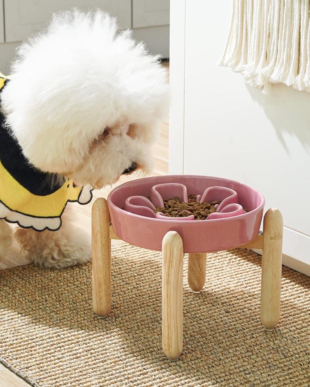 LE TAUCI ceramic bowl with anti-gulp design slows meals for dogs.
