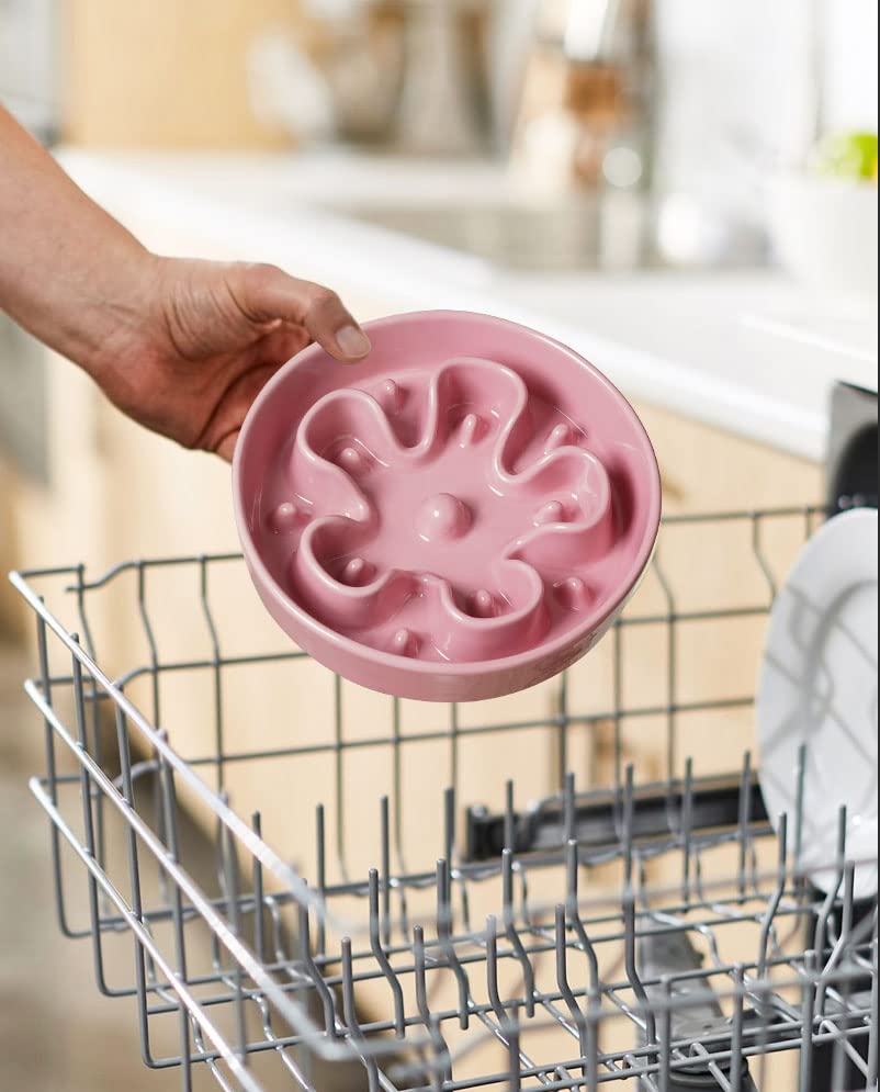 LE TAUCI microwave-safe ceramic bowl reheats dog food safely.