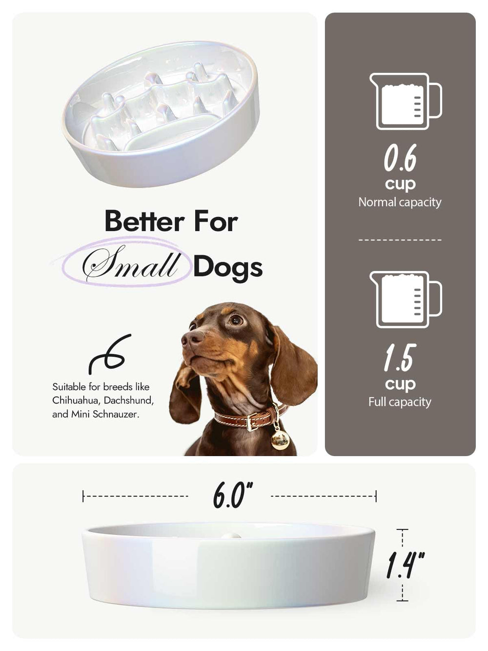 LE TAUCI luminous crown-silver finish on slow feeder bowl catches light during feeding.