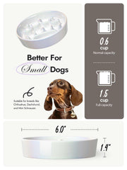 LE TAUCI luminous crown-silver finish on slow feeder bowl catches light during feeding.