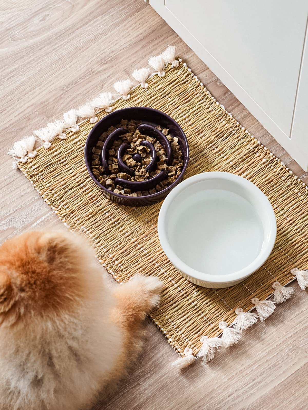 LE TAUCI dishwasher-safe ceramic bowl, easy cleaning after meals.