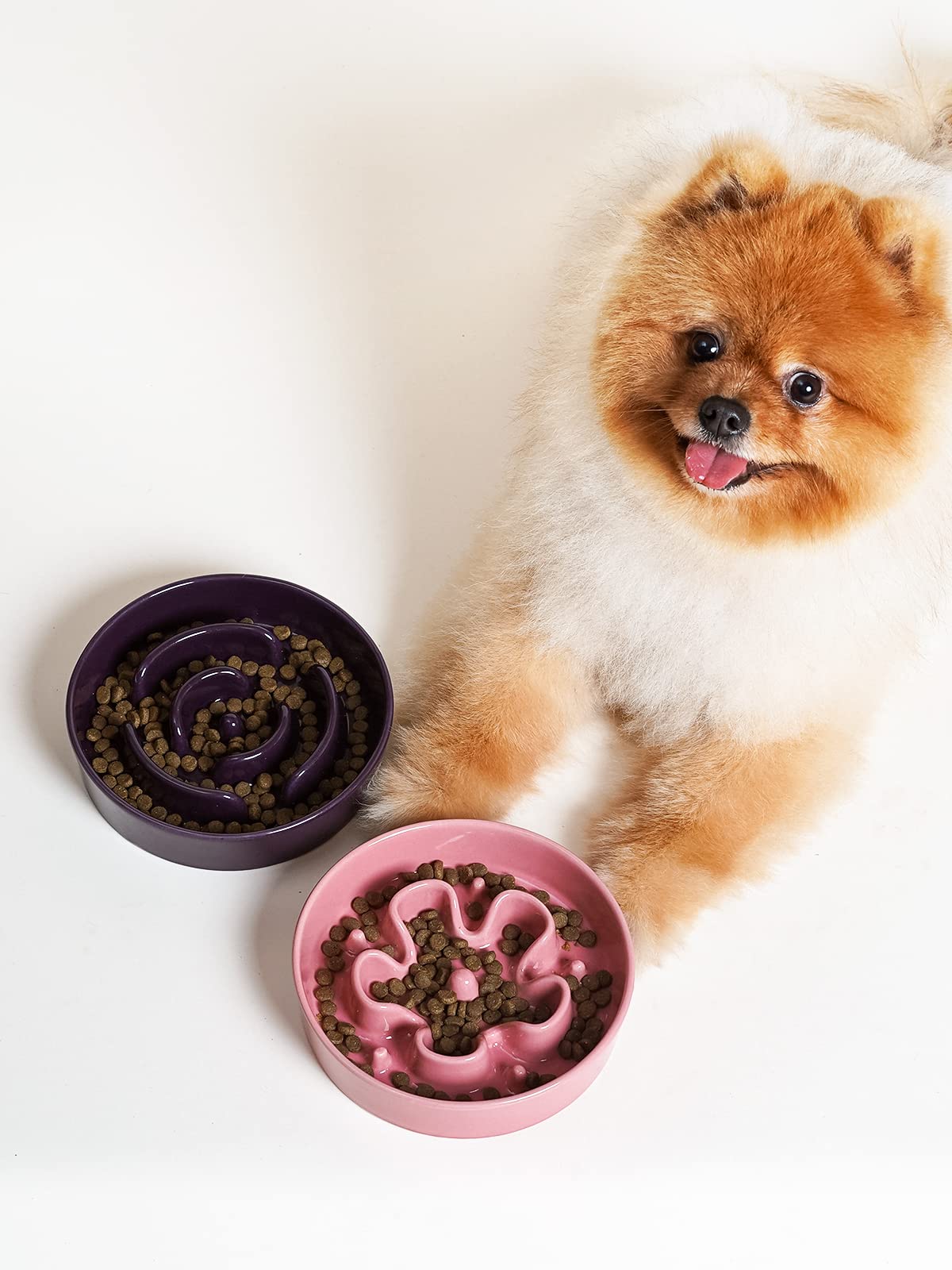 LE TAUCI slow feeder bowl ideal for cats, compact size.