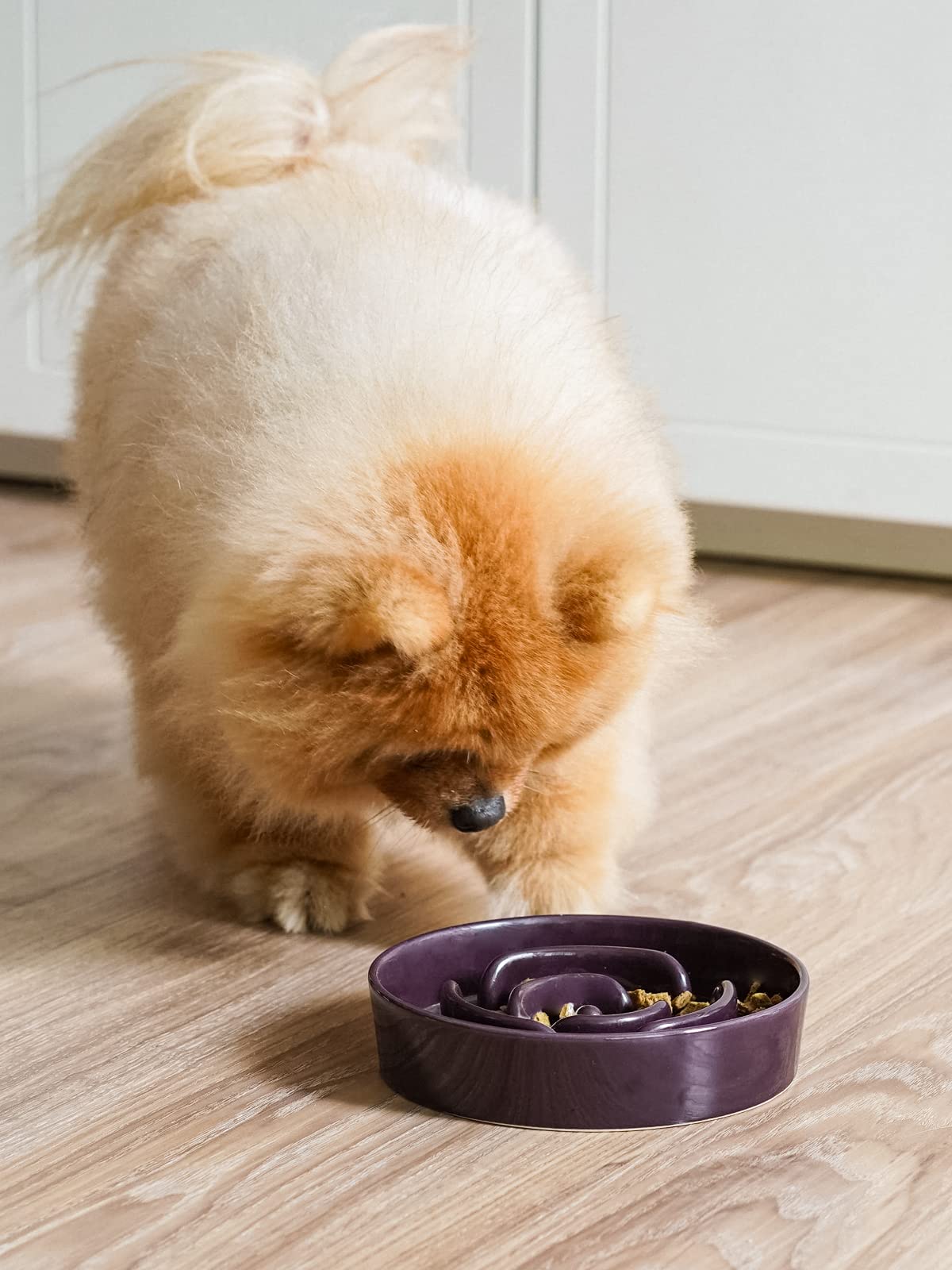 LE TAUCI ceramic slow feeder with ridges and maze pattern, slows fast eaters.