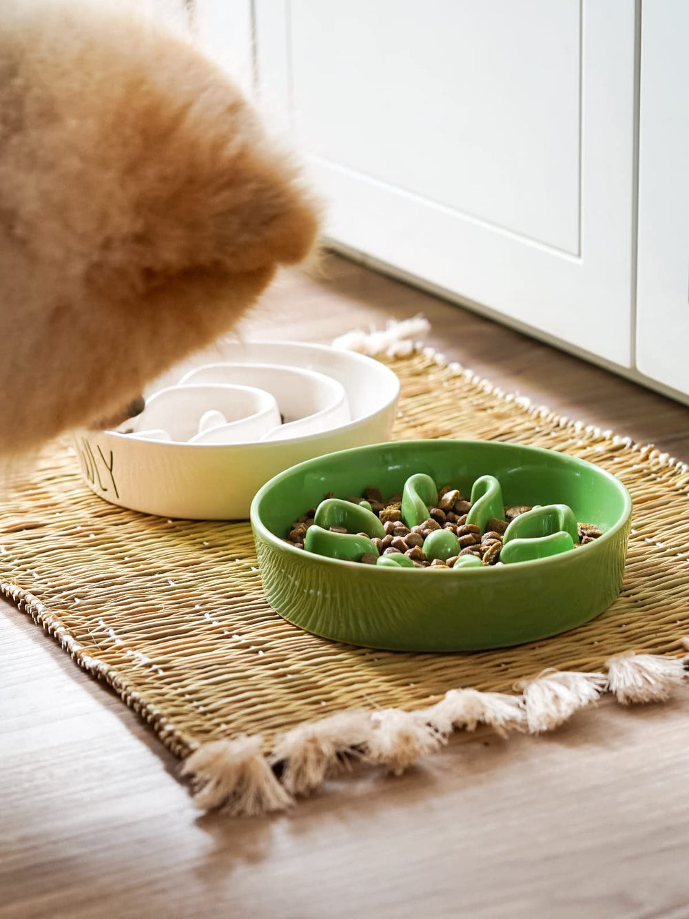 LE TAUCI ceramic slow feeder bowl on a non-slip base supports stable mealtime