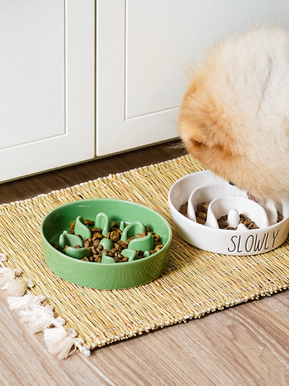 Close-up of Clover Green glaze on LE TAUCI ceramic slow feeder bowl for easy cleaning