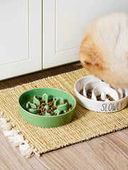 Close-up of Clover Green glaze on LE TAUCI ceramic slow feeder bowl for easy cleaning