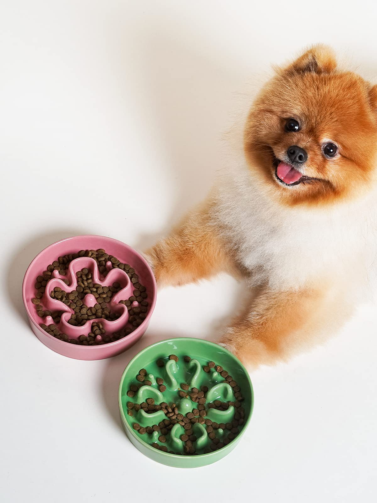 A small dog enjoying a paced meal in LE TAUCI slow feeder ceramic bowl
