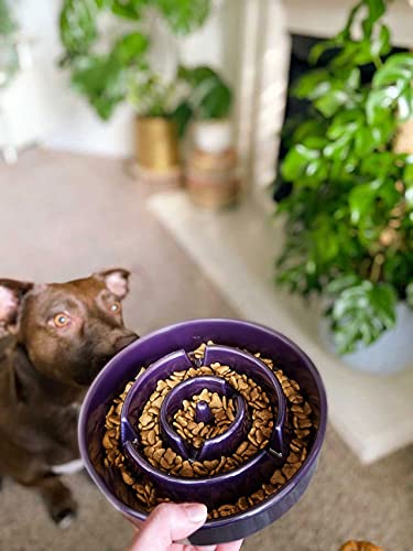 LE TAUCI durable ceramic bowl for small to medium dogs
