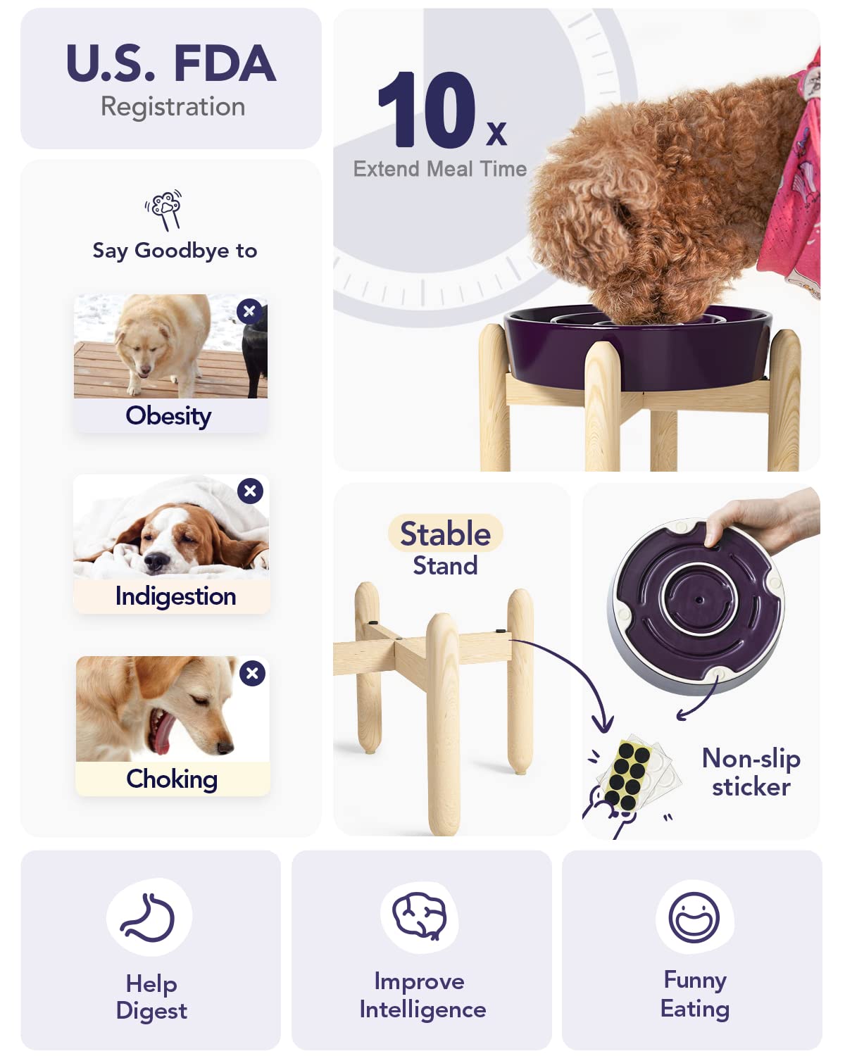 LE TAUCI elevated 3-cup dog bowl for medium to large breeds