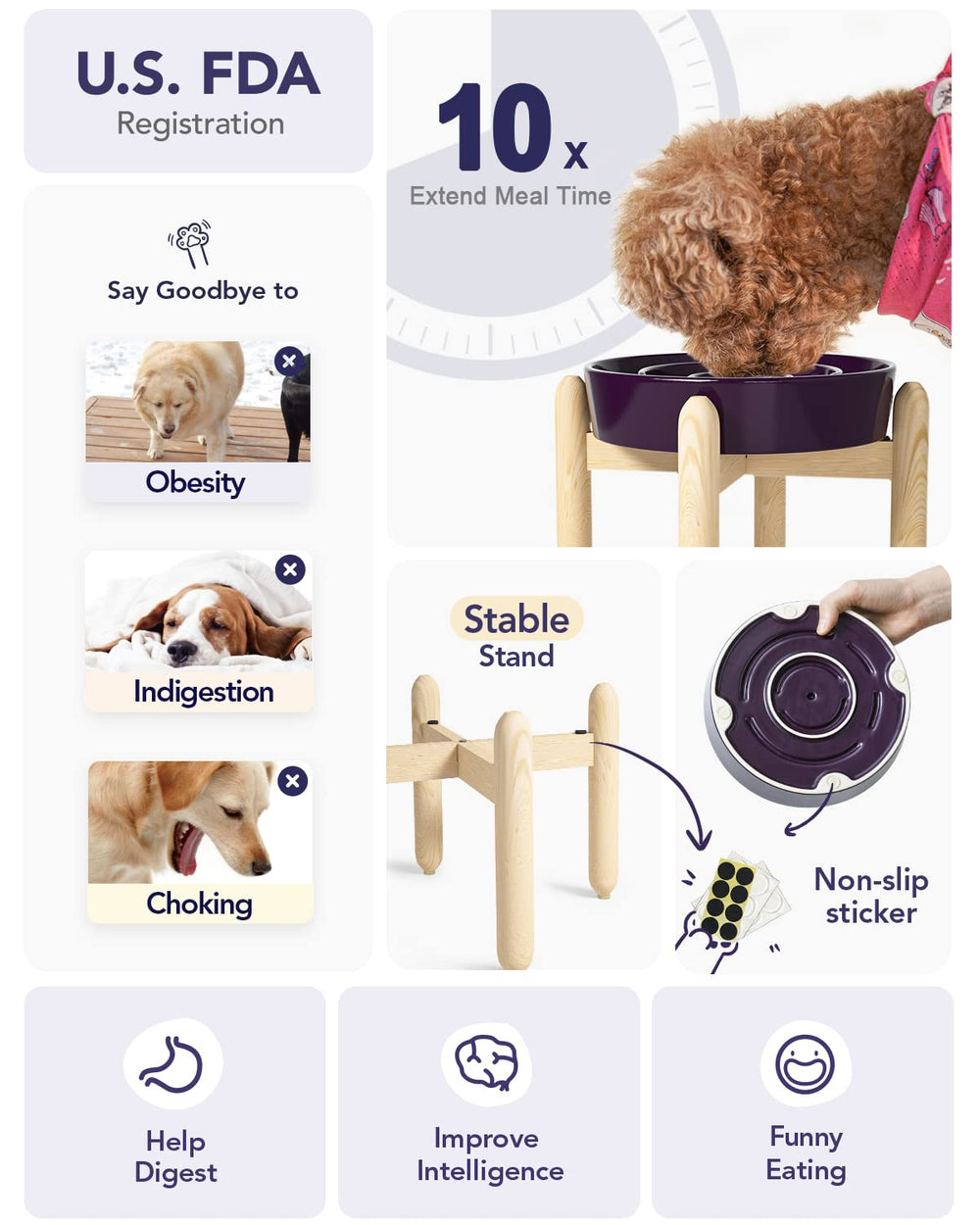 LE TAUCI elevated 3-cup dog bowl for medium to large breeds