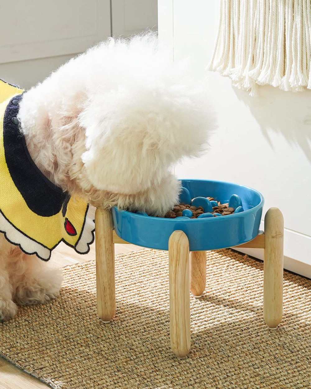 LE TAUCI elevated dog bowl with non-slip base for mess-free dining.
