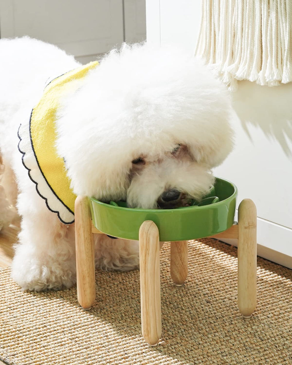 LE TAUCI elevated wooden stand keeps feeding at a comfortable height.