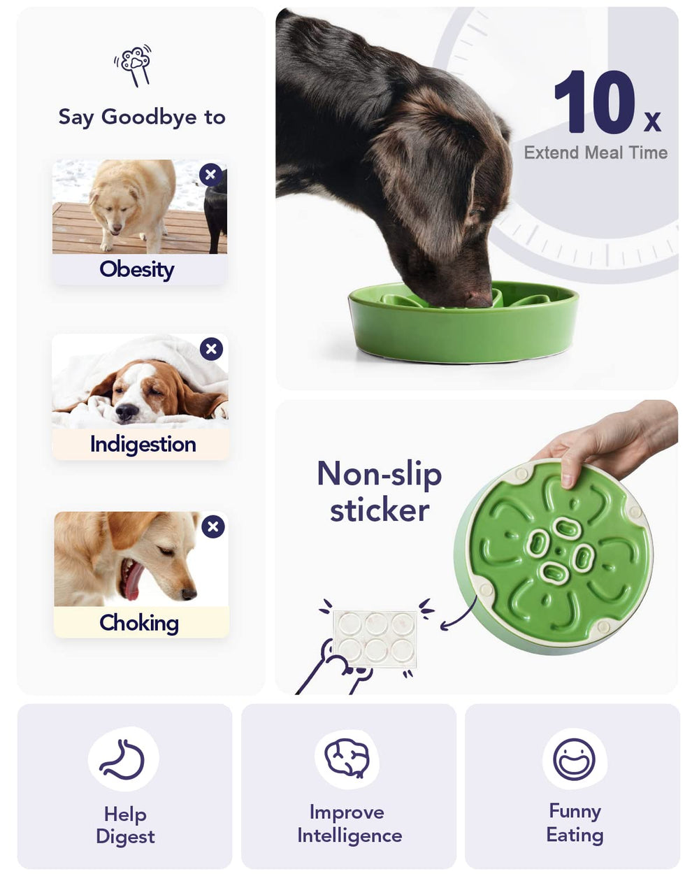 LE TAUCI microwave-safe ceramic dog bowl for convenient reheating of meals.