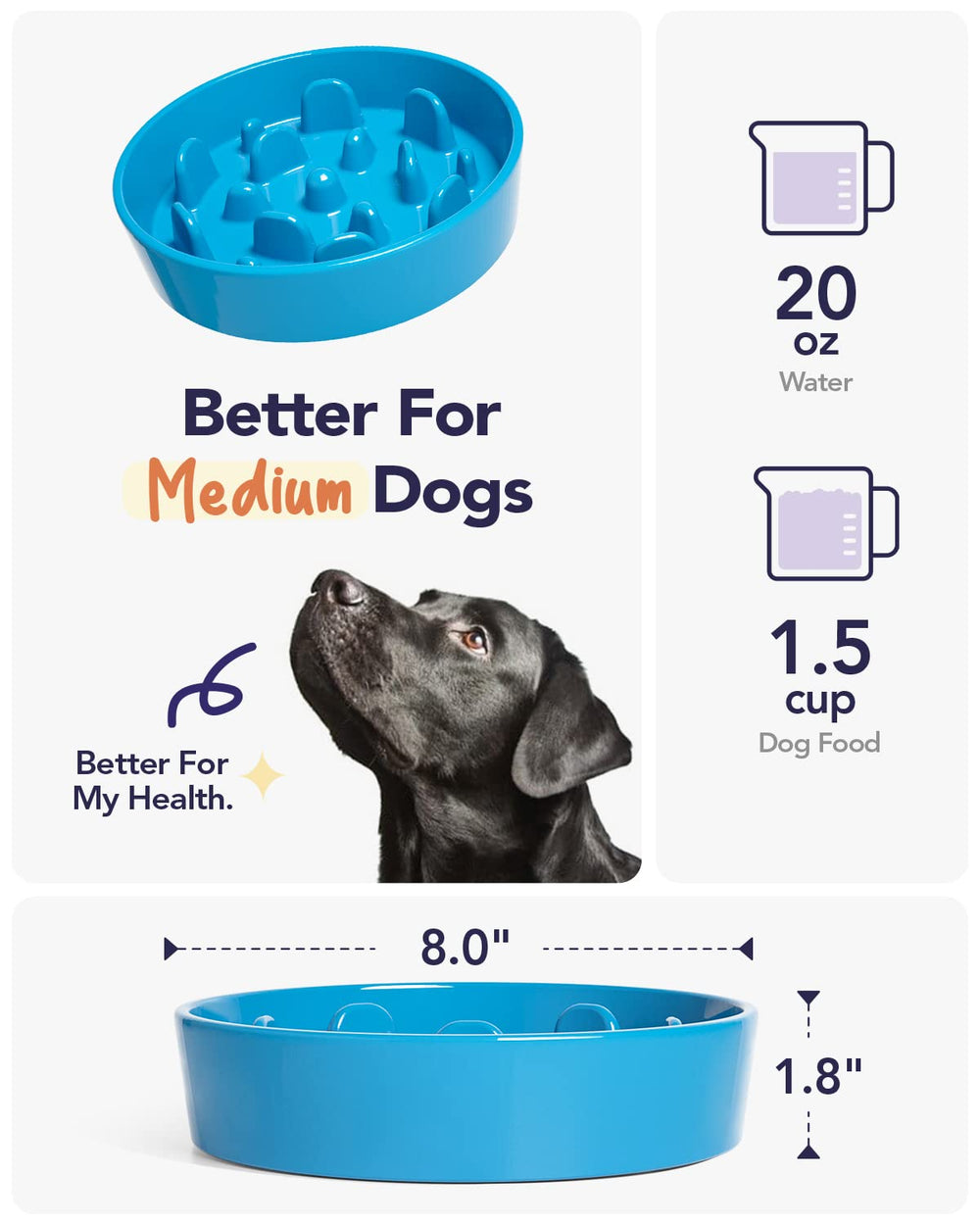 LE TAUCI microwave-safe ceramic dog bowl ready to reheat meals.