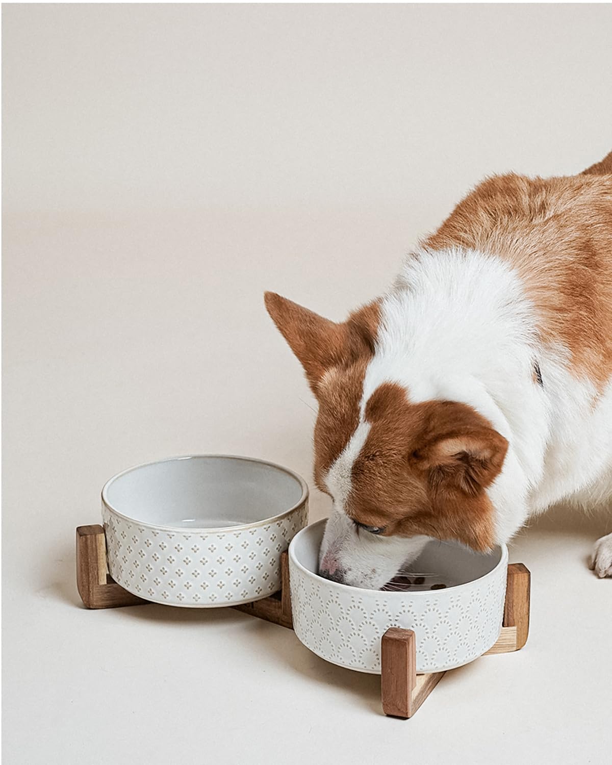 LE TAUCI bowls are microwave safe to warm meals when needed