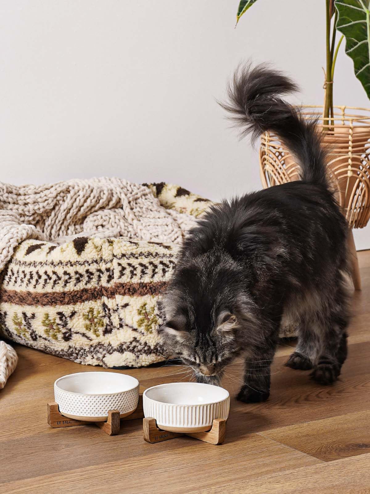 LE TAUCI PET acacia wood stand provides sturdy feeding support
