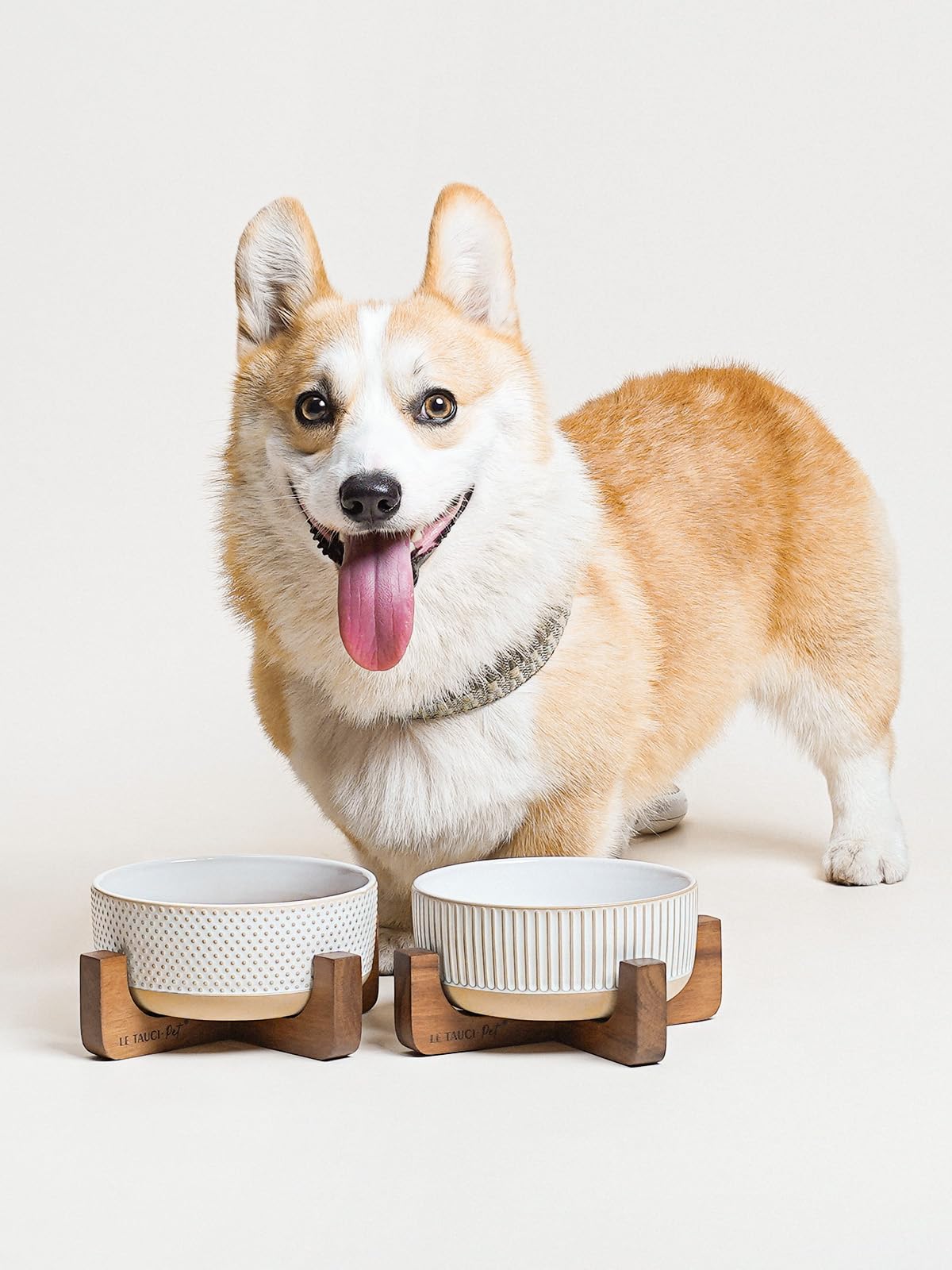 LE TAUCI PET 4-cup capacity supports meals and hydration.