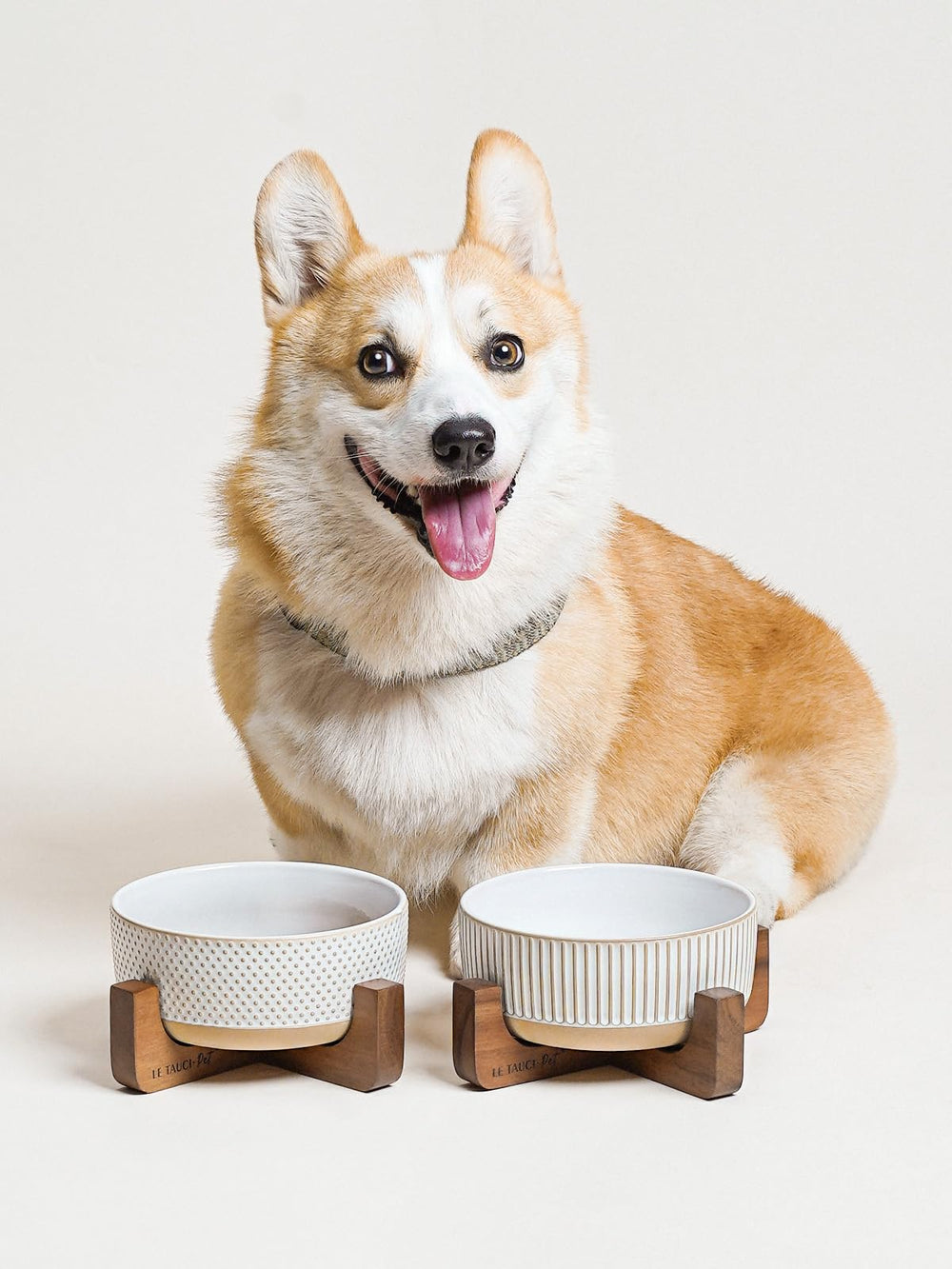 LE TAUCI PET bowls suit small to medium dogs and cats.