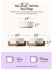 LE TAUCI PET bowl close-up shows durable glaze and safe materials.