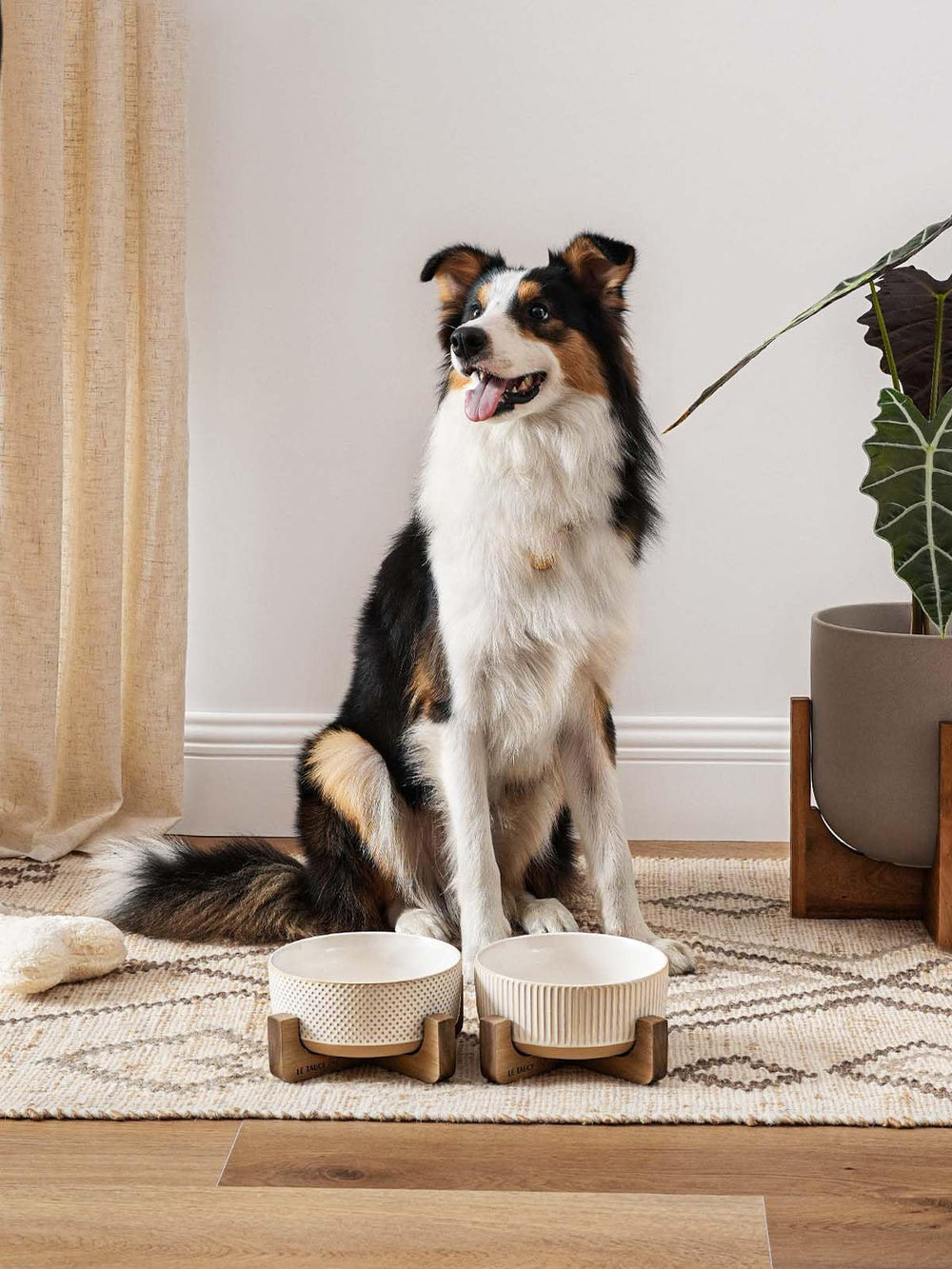 LE TAUCI PET dish resists tipping for calmer meals.