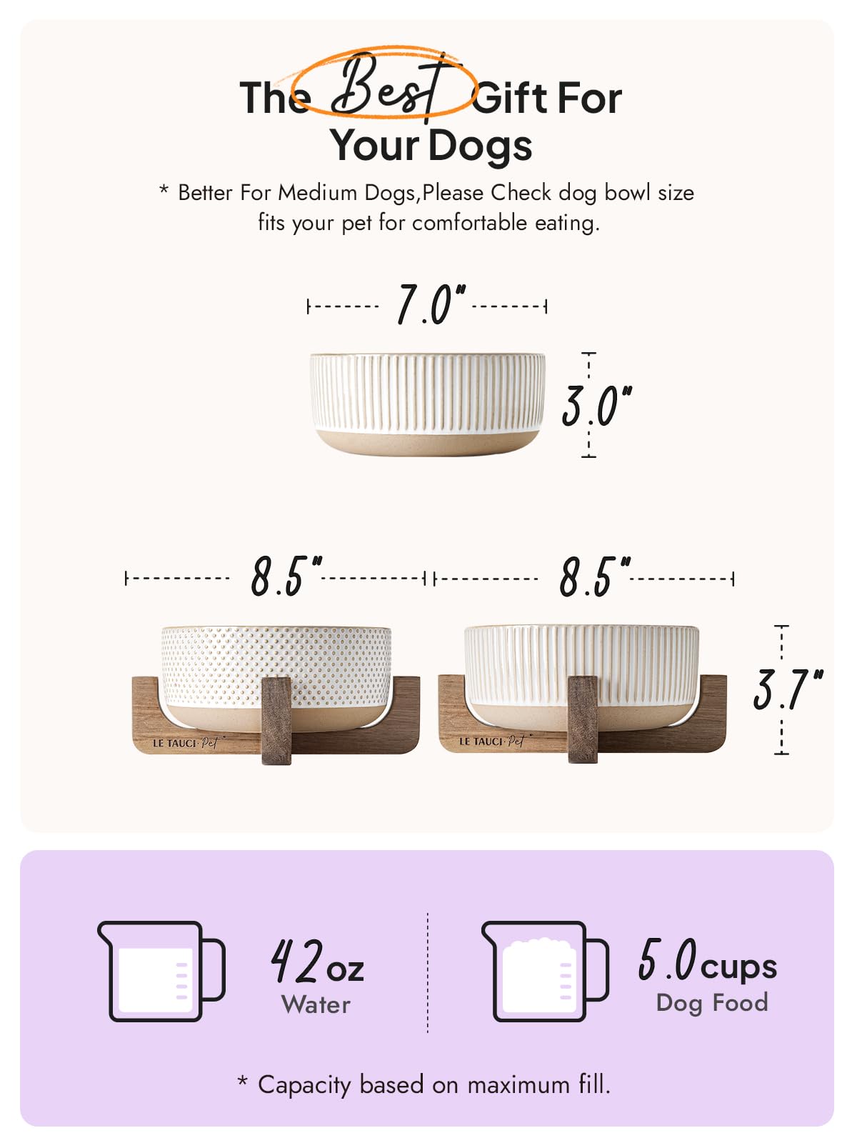 LE TAUCI PET ceramic dog bowl with full setup, 5-cup capacity.