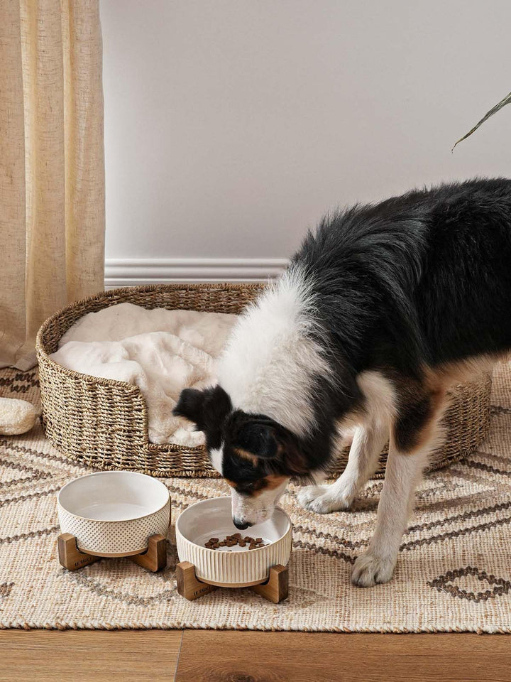 LE TAUCI PET ceramic dog bowl with wood stand, side view shows durability.