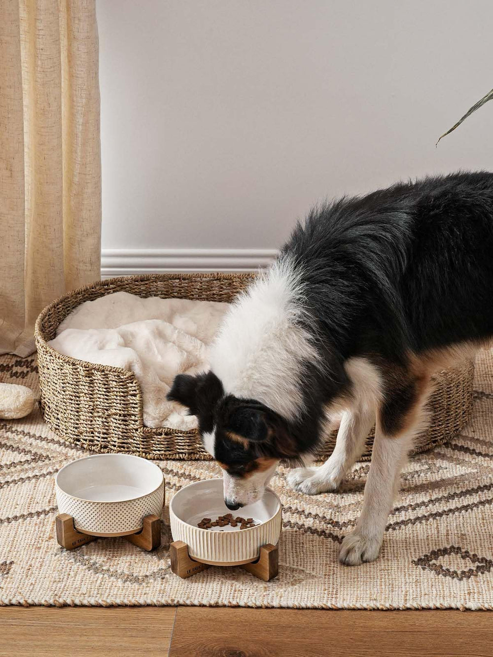 LE TAUCI PET ceramic dog bowl with wood stand, side view shows durability.