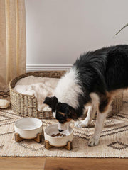 LE TAUCI PET ceramic dog bowl with wood stand, side view shows durability.