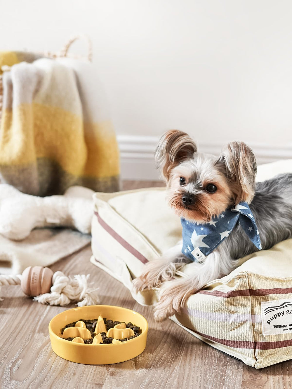LE TAUCI PET ceramic surface is dishwasher and microwave safe for quick cleaning.