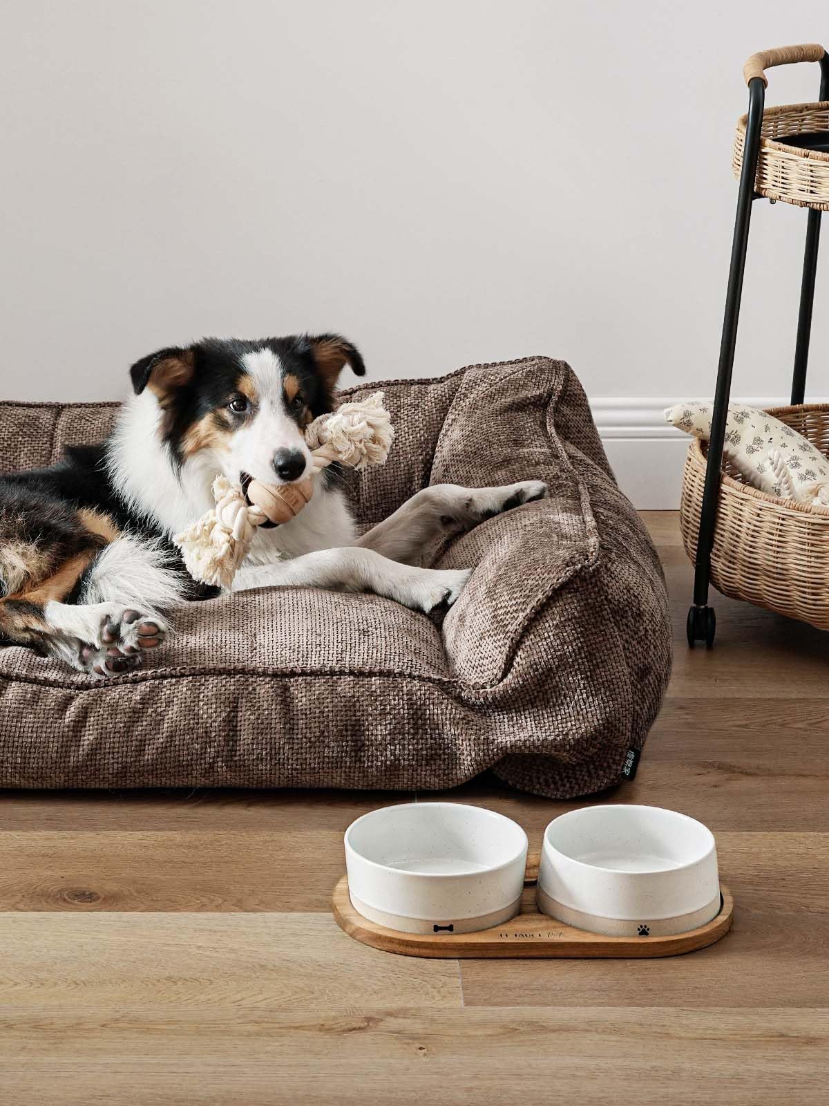 LE TAUCI PET bowls dishwasher safe and microwave safe for convenience
