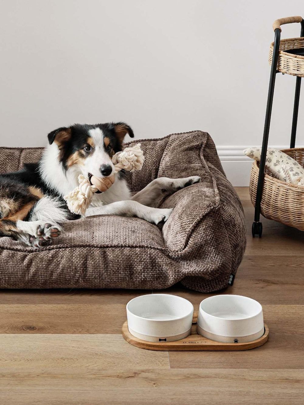 LE TAUCI PET bowls dishwasher safe and microwave safe for convenience