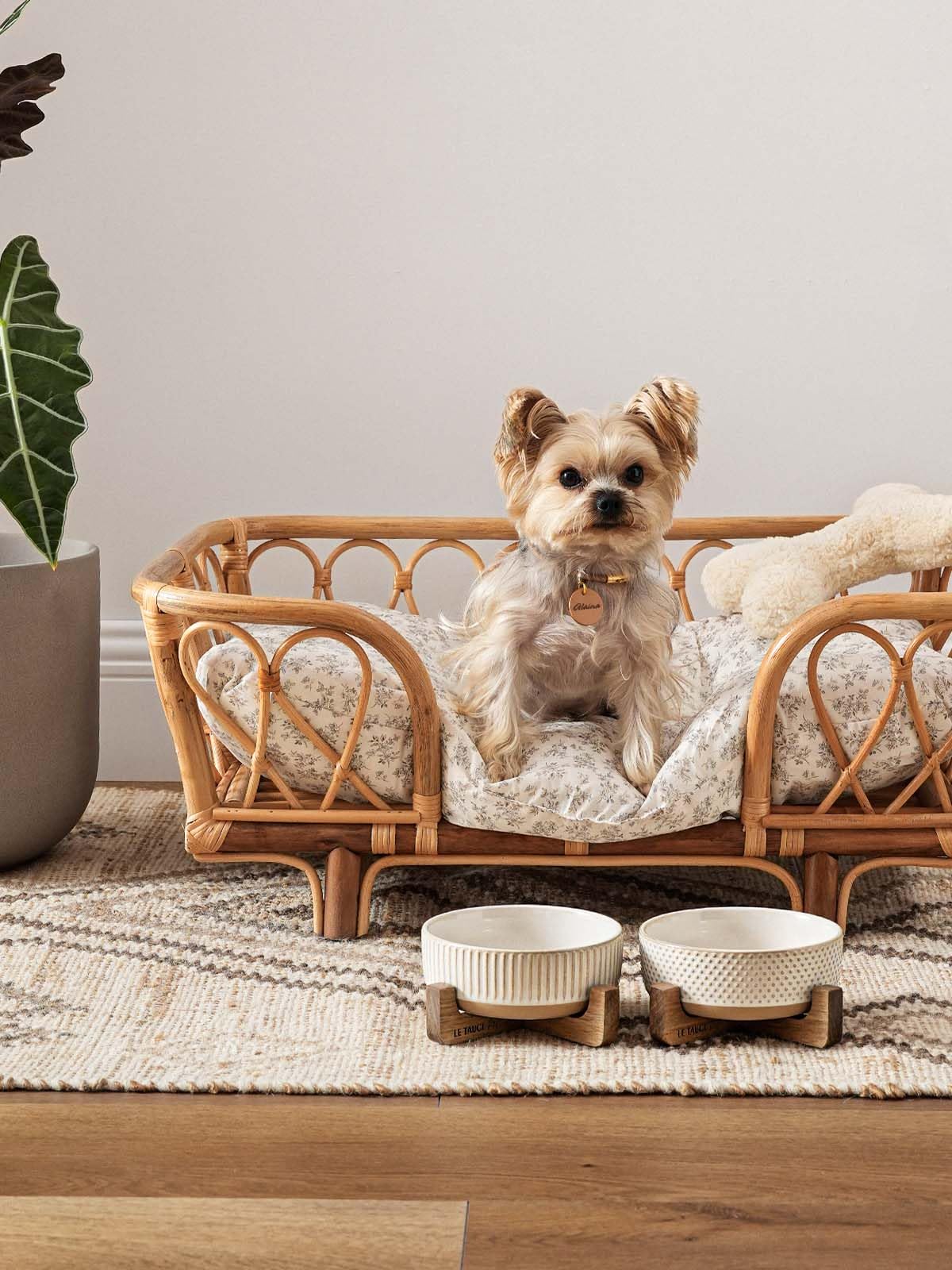 LE TAUCI PET easy-clean glaze makes washing simple