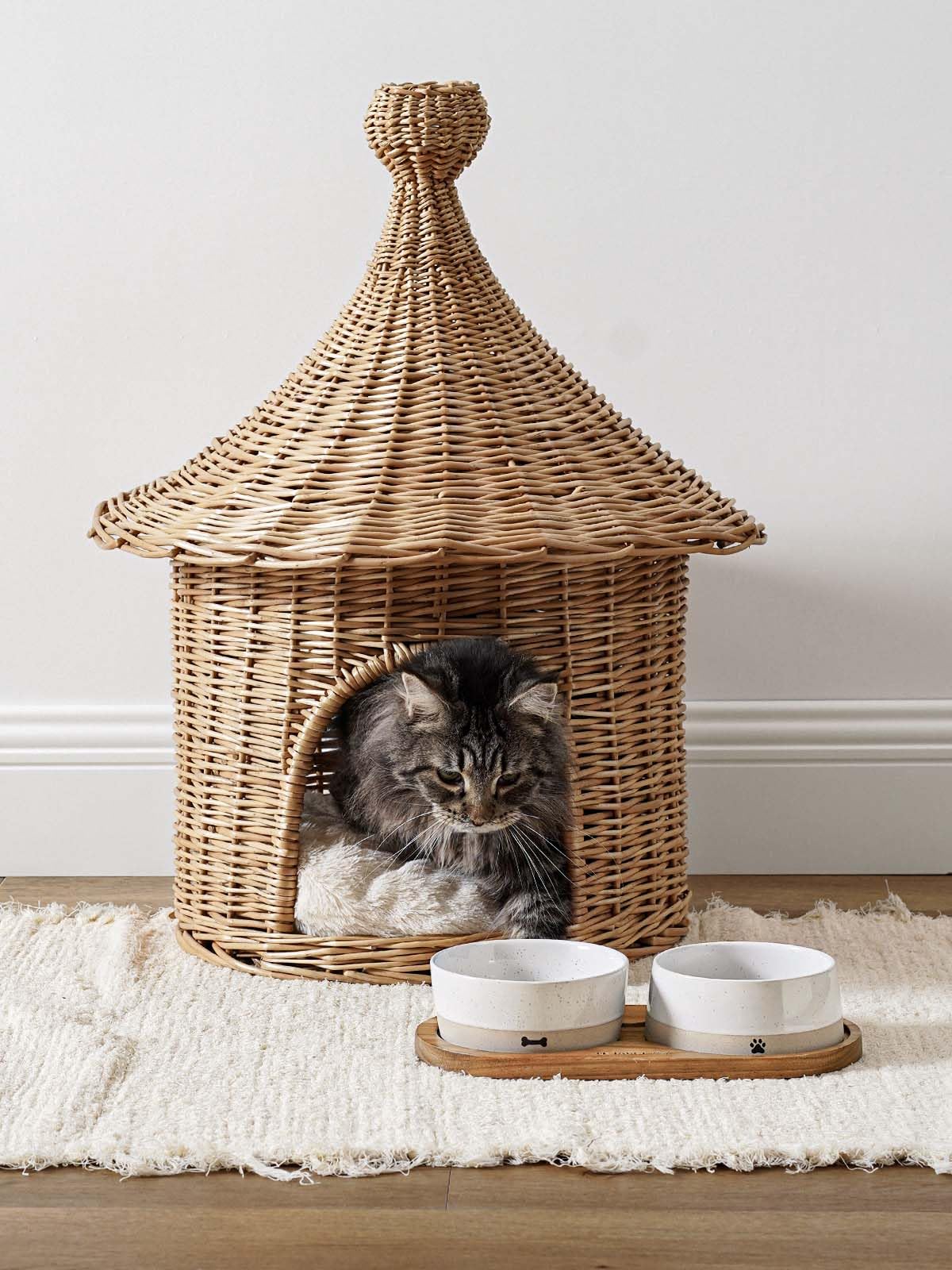 LE TAUCI PET food bowl with 5.5-inch opening for easy feeding.