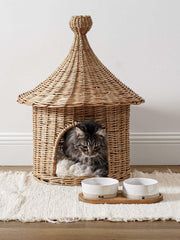 LE TAUCI PET food bowl with 5.5-inch opening for easy feeding.