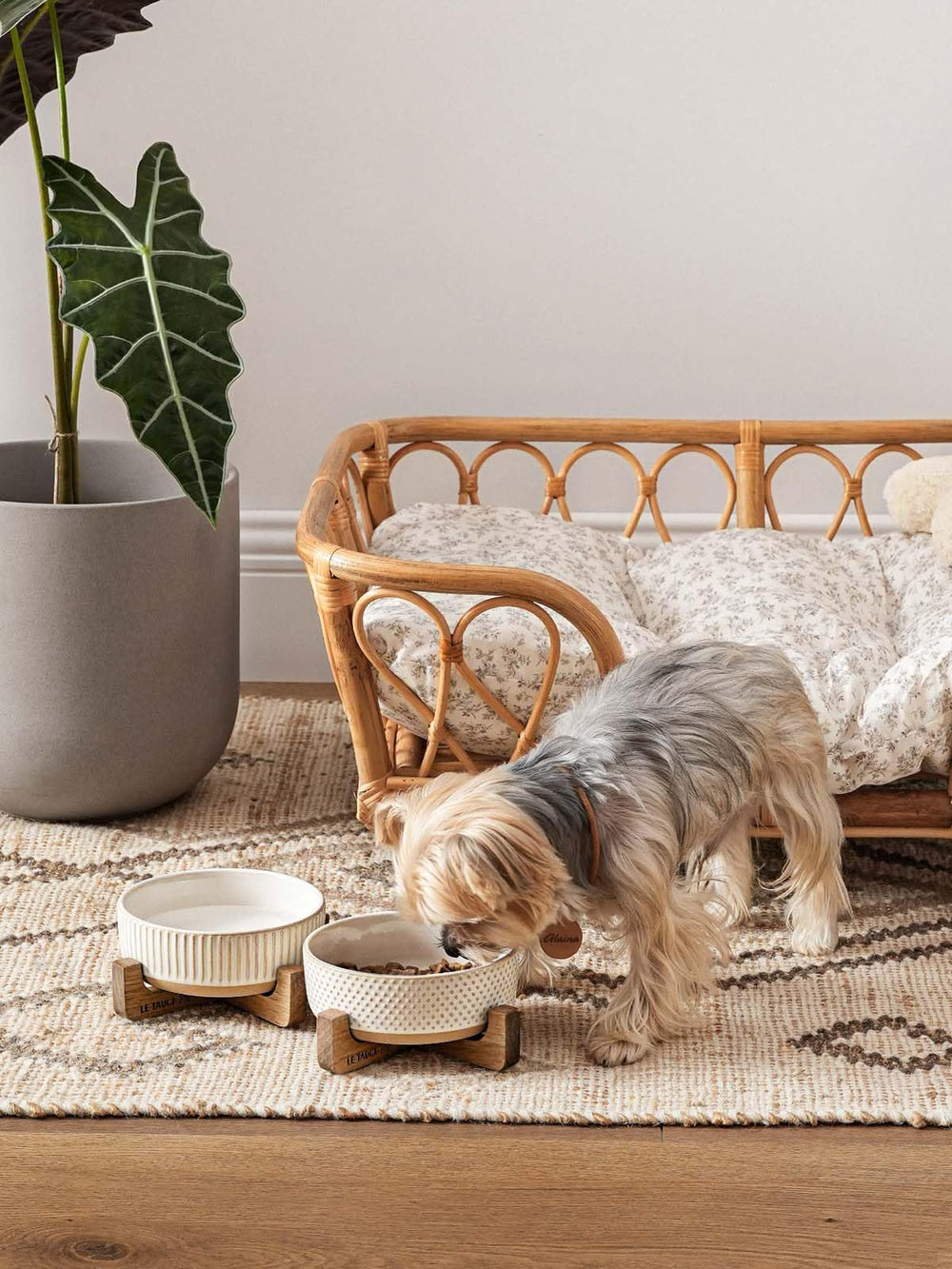 LE TAUCI PET lines-and-dots design complements home interiors