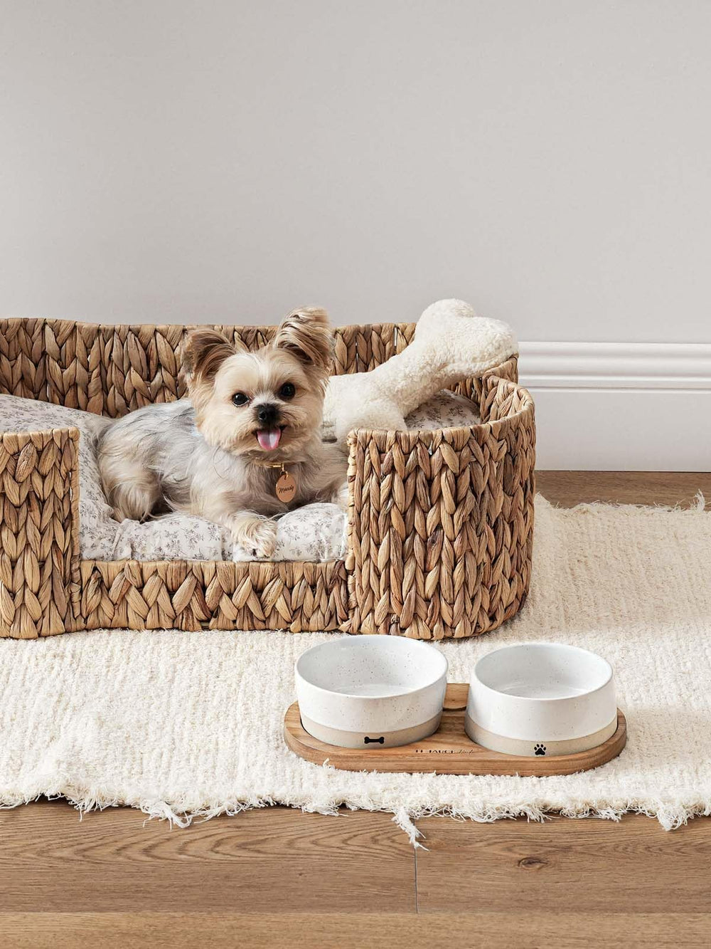 LE TAUCI PET microwave-safe bowls for warming pet meals.