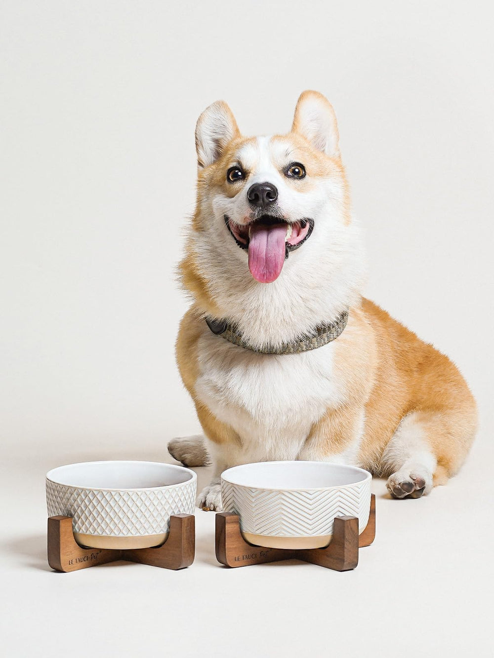 LE TAUCI PET microwave-safe bowls for warming pet meals.